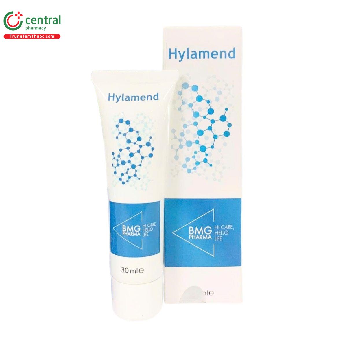 hylamend 2 E2785 hylamend 2 E2785