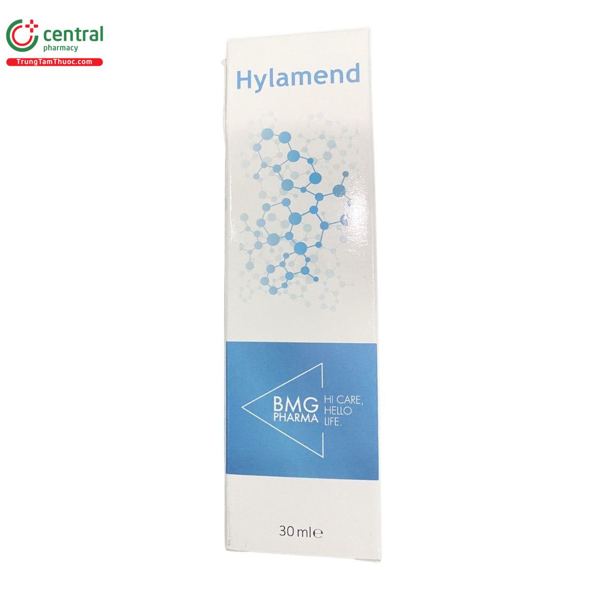 hylamend 6 J3433 hylamend 6 J3433