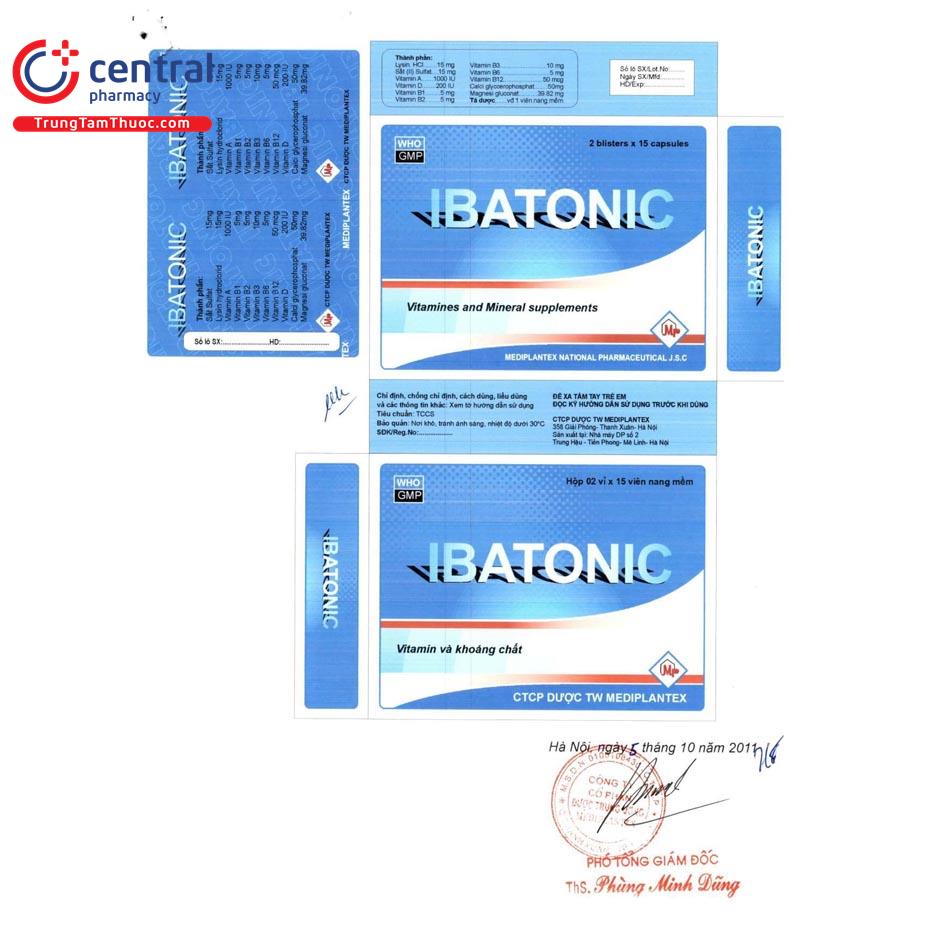 ibatonic 4 T8022