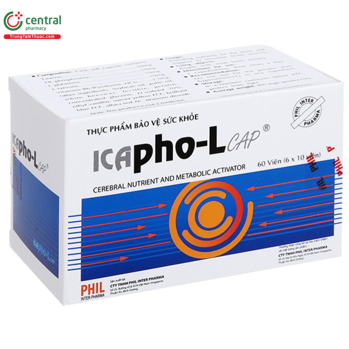 icapho l cap 8 E1108