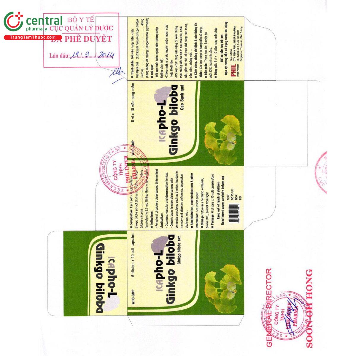 icapho l ginkgo biloba 40mg 1 P6367 icapho l ginkgo biloba 40mg 1 P6367