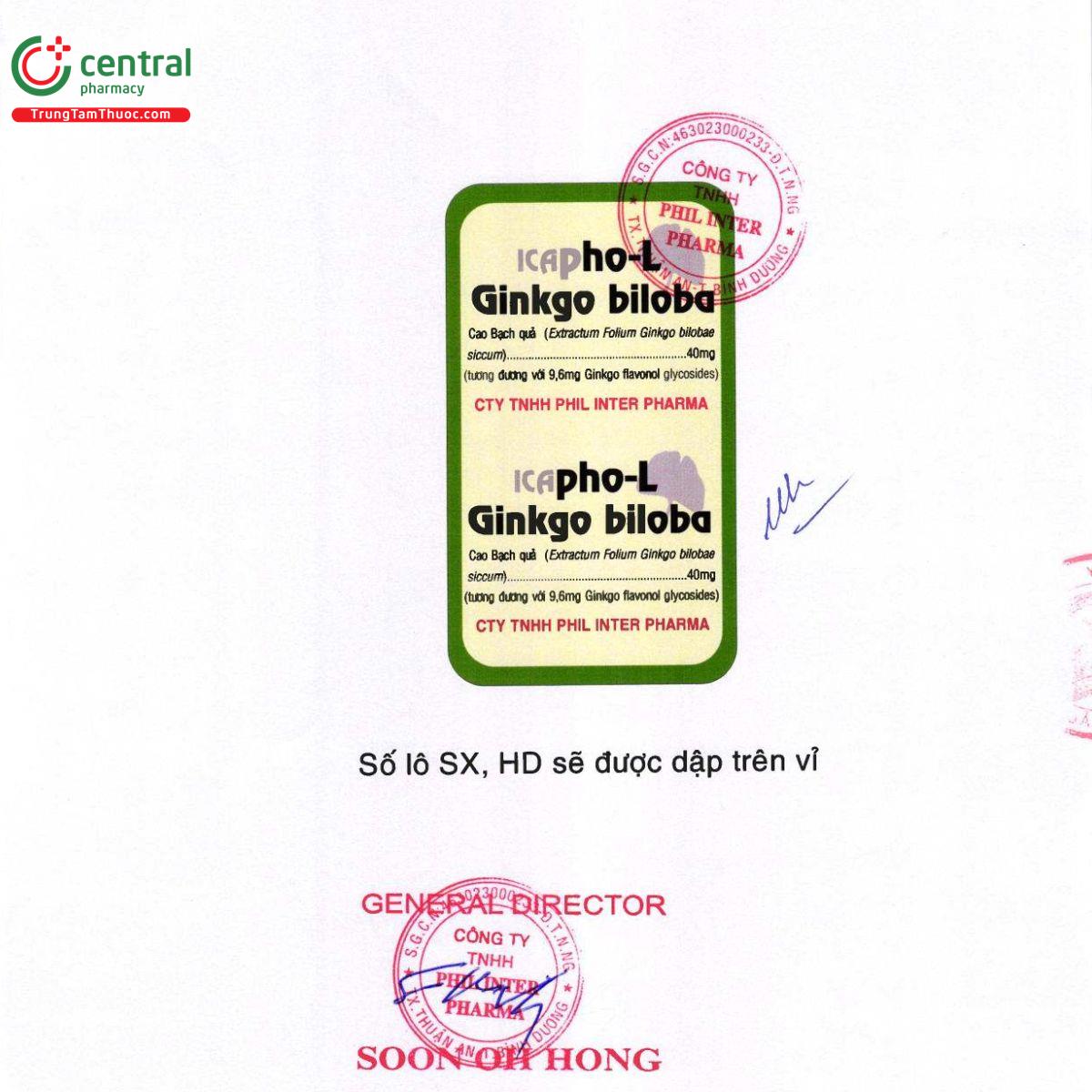 icapho l ginkgo biloba 40mg 2 Q6111 icapho l ginkgo biloba 40mg 2 Q6111