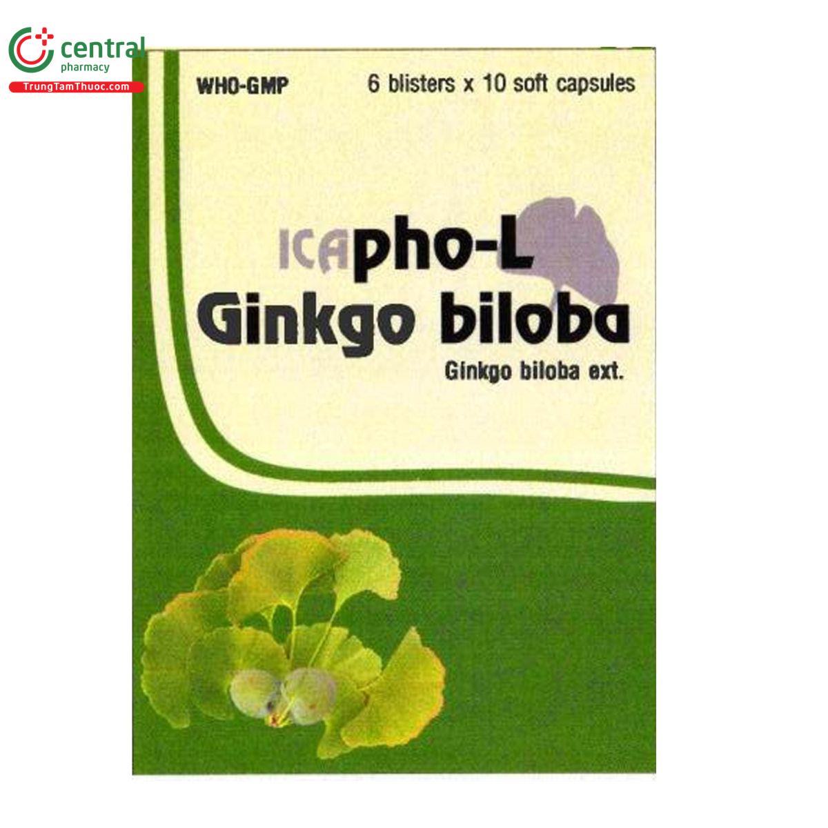 icapho l ginkgo biloba 40mg V8670 icapho l ginkgo biloba 40mg V8670