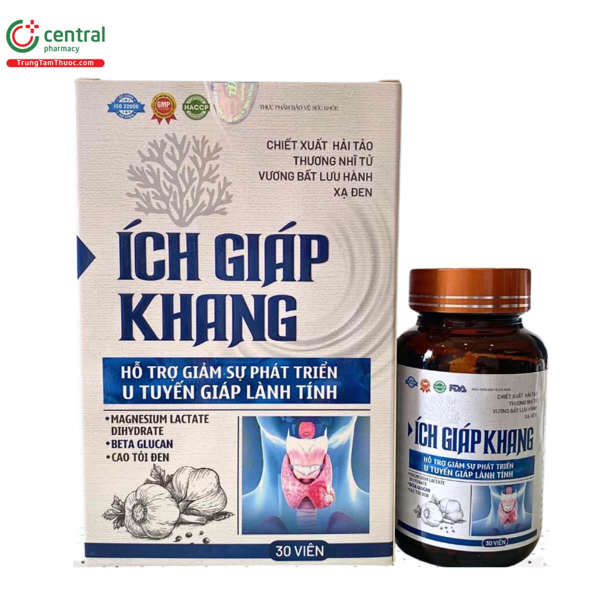 ich giap khang 1 P6708