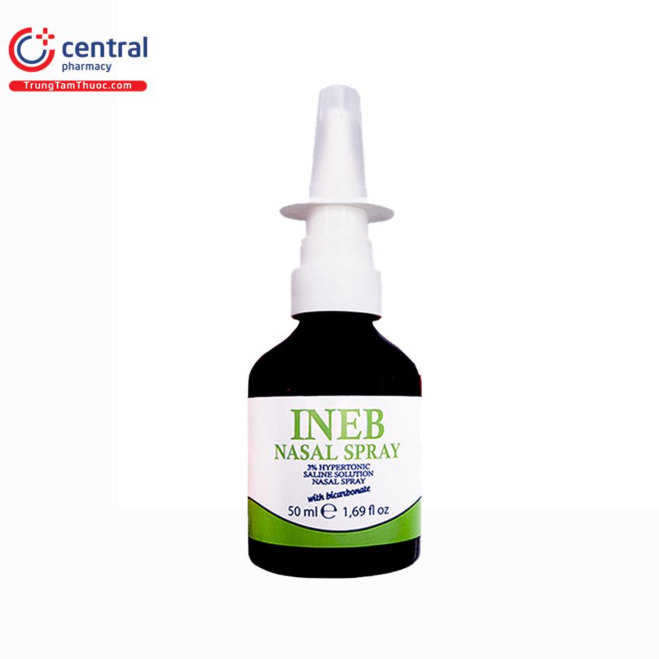 ineb nasal spray 5 I3553