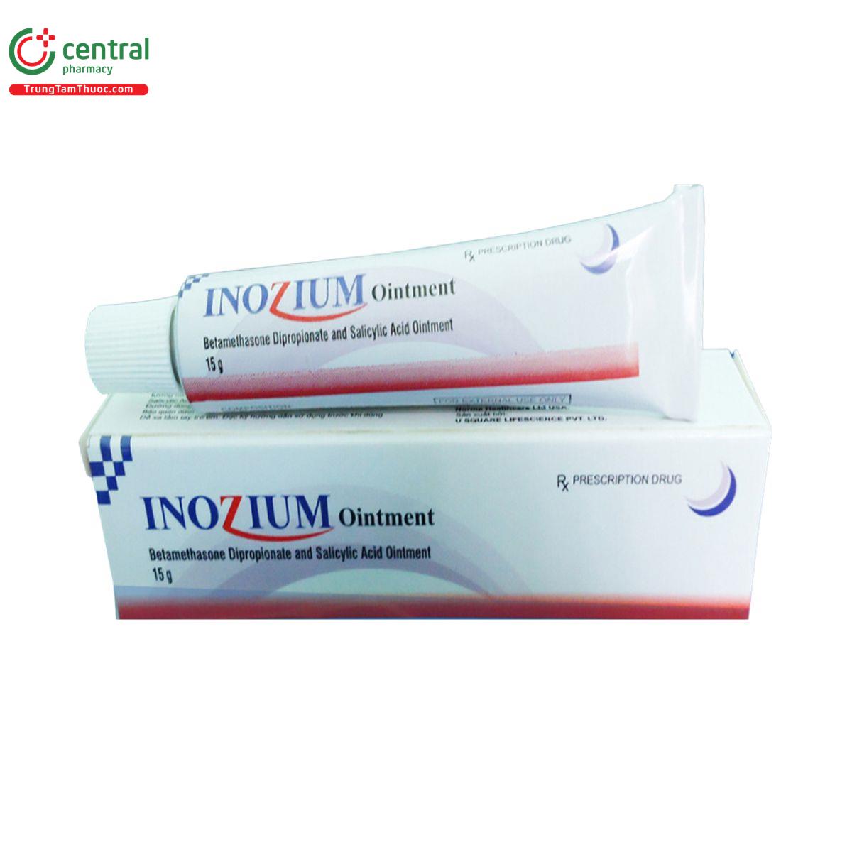 inozium ointment 1 K4865