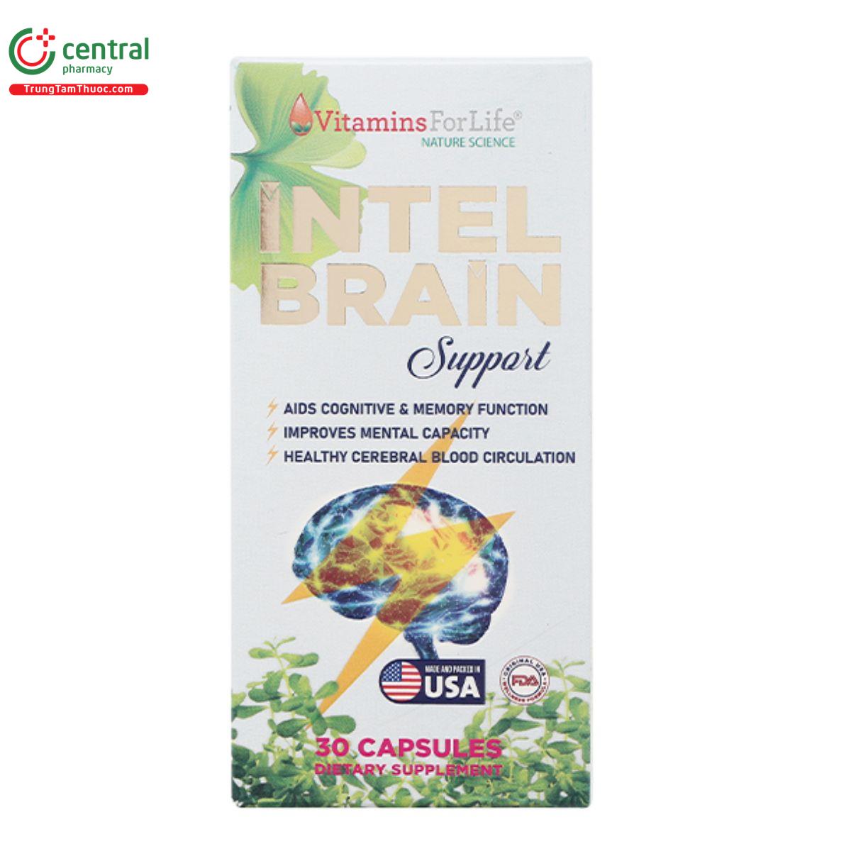 intel brain support 3 G2884