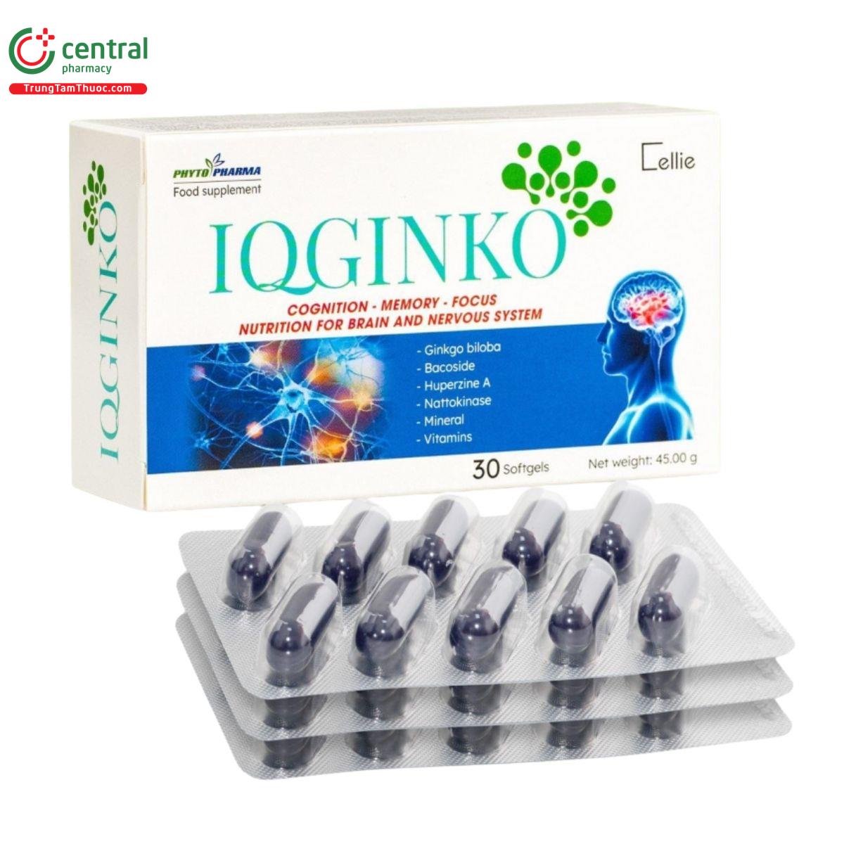 iqginko 1 V8785