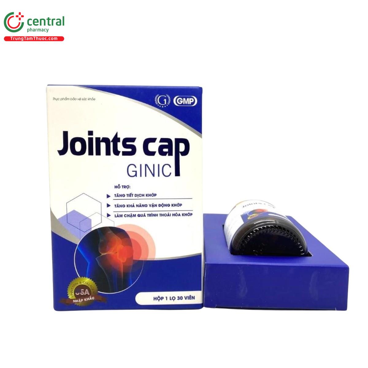 joints cap ginic 3 E1220