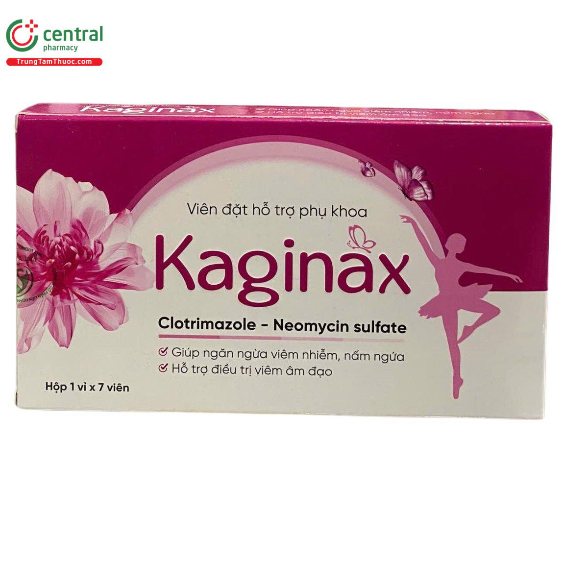 kaginax 1 H3327