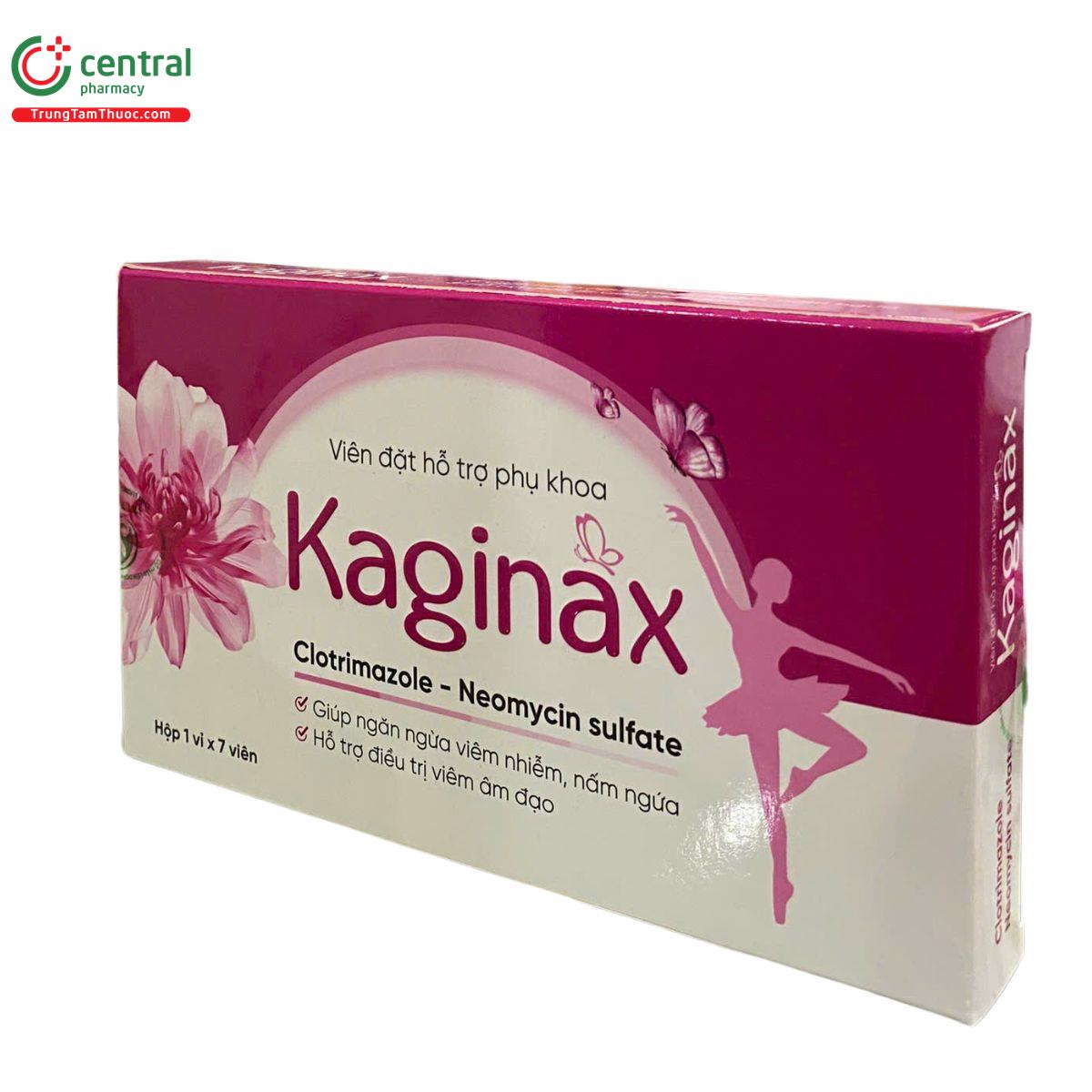 kaginax 3 V8601