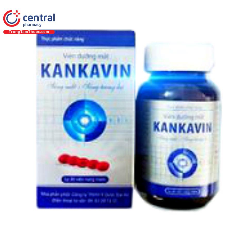 kankavin 2 L4874