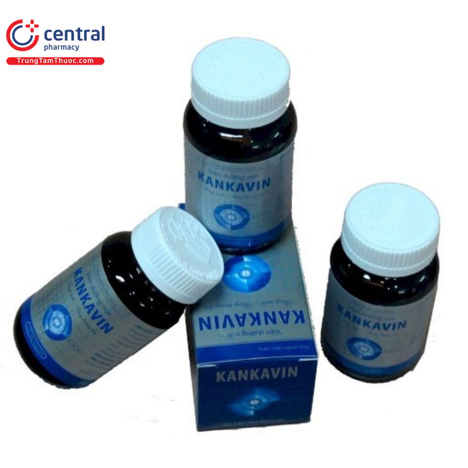 kankavin 3 I3173