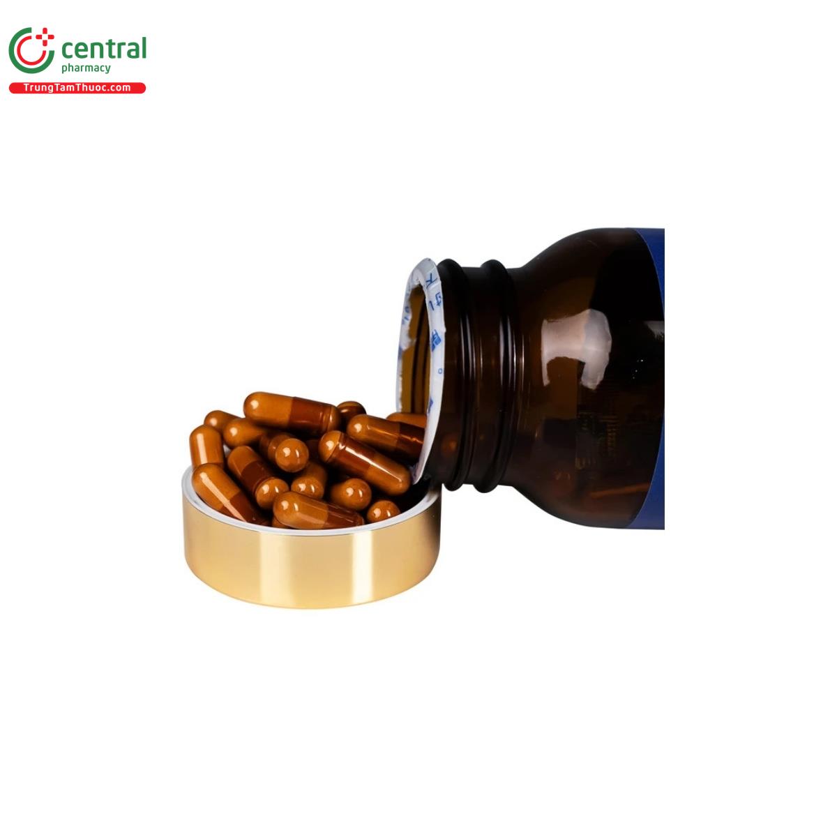 kanzo gold 8 C0442 kanzo gold 8 C0442