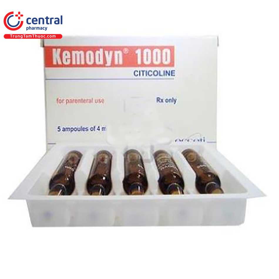 kemodyn 1000 2 E1375