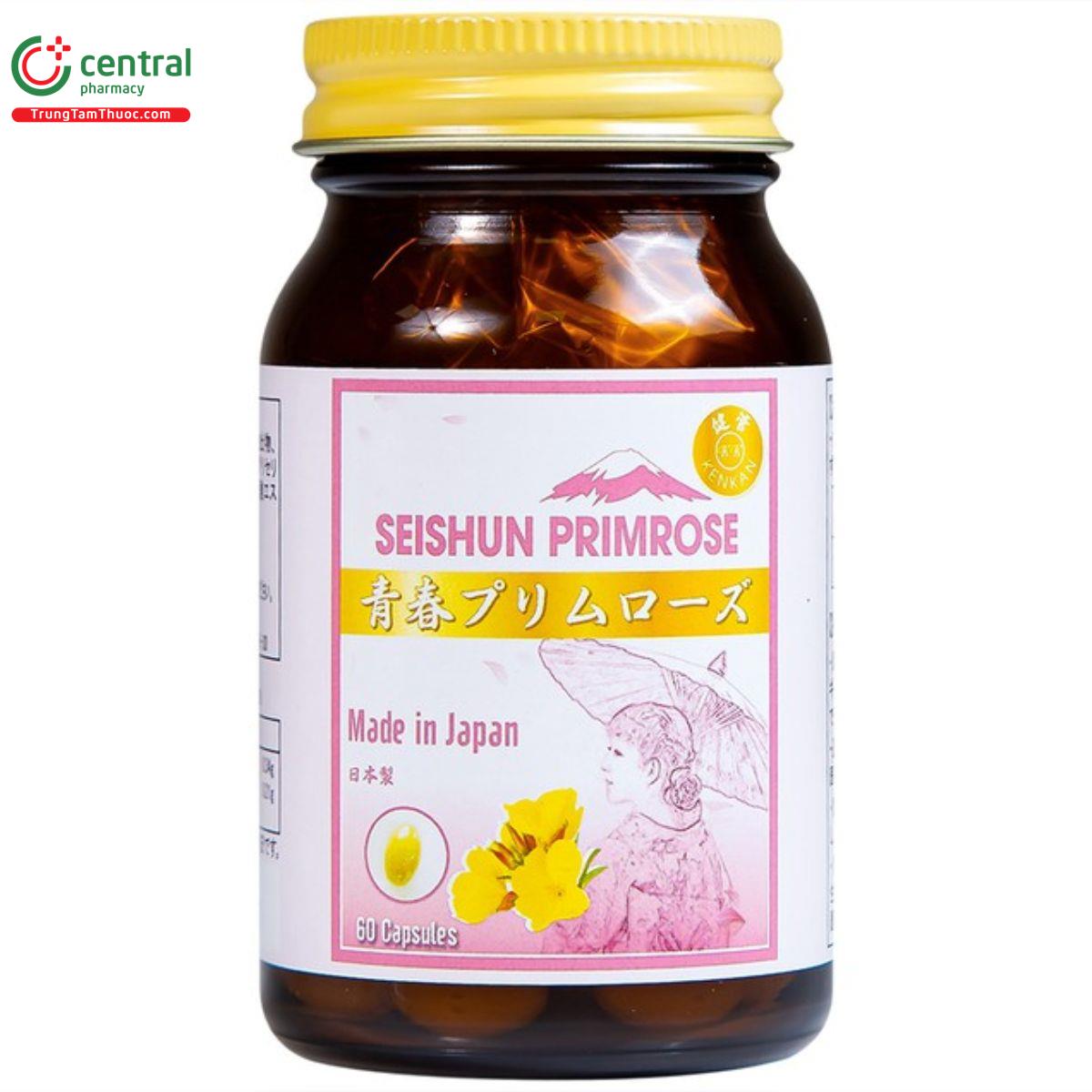 kenkan seishun primrose 3 J4261