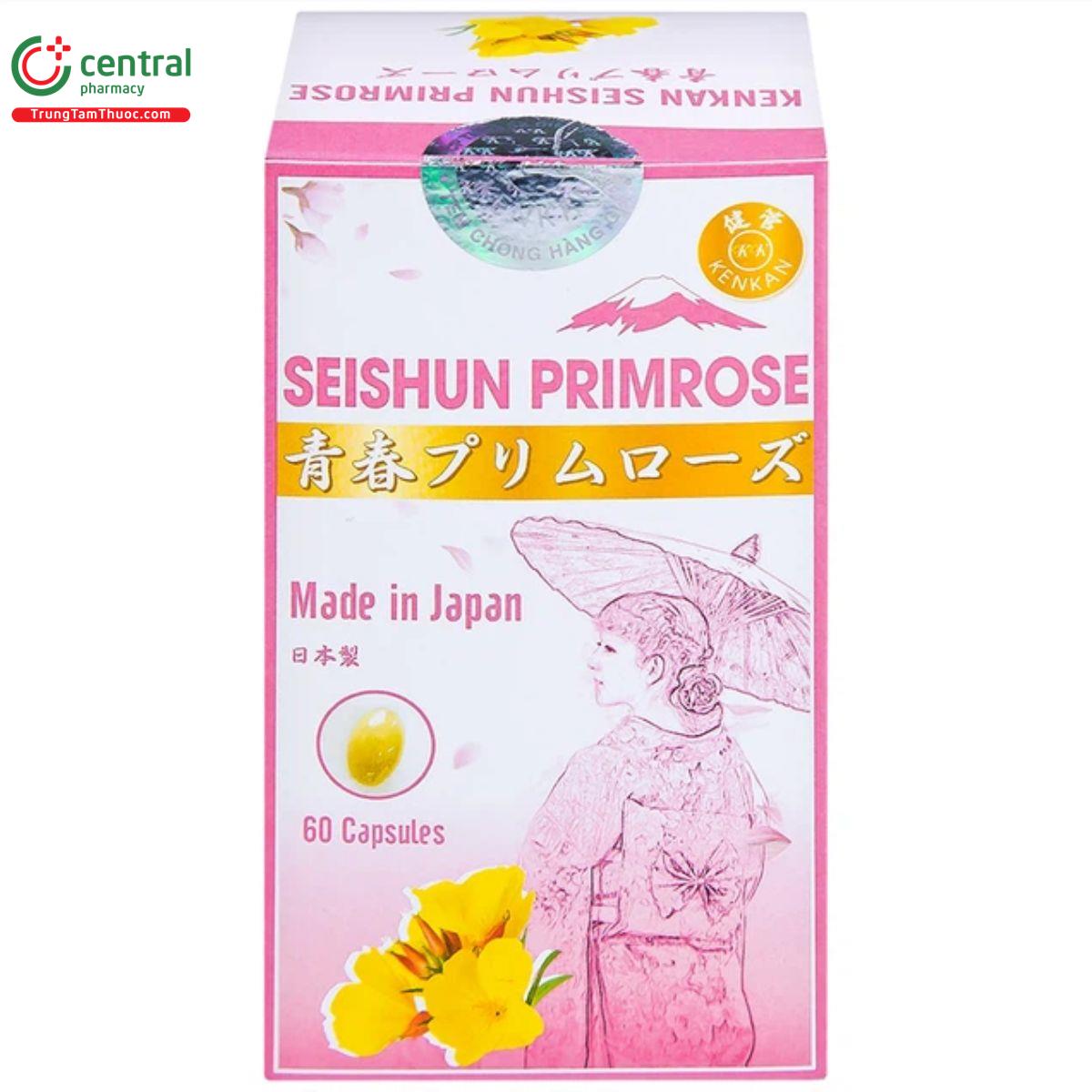 kenkan seishun primrose 91 R6612