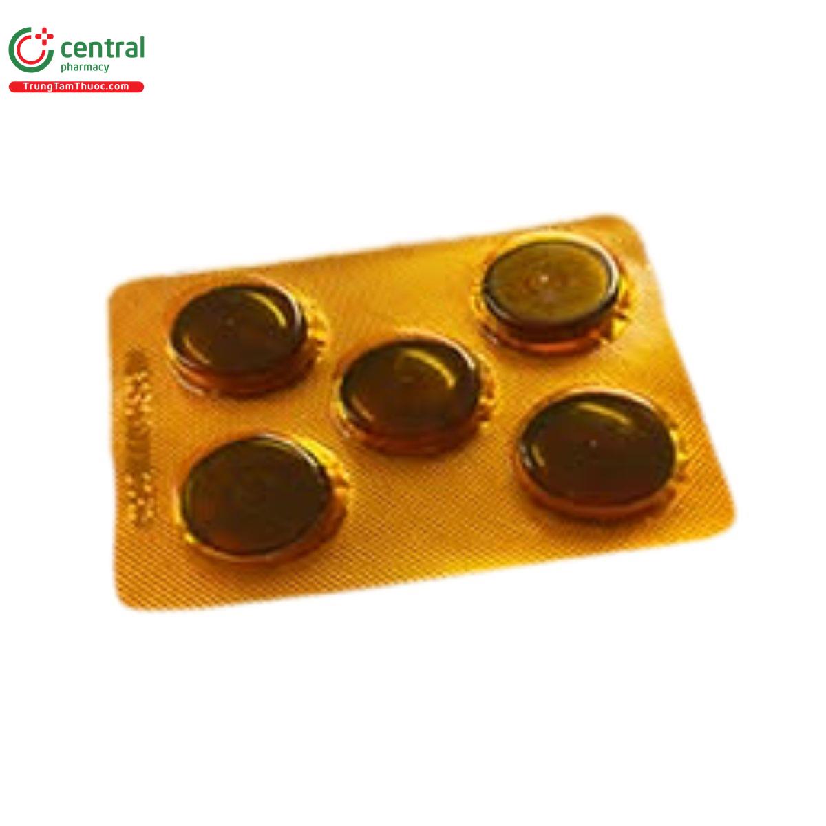 keo ngam ho bach bo thuong xuan 3 I3707