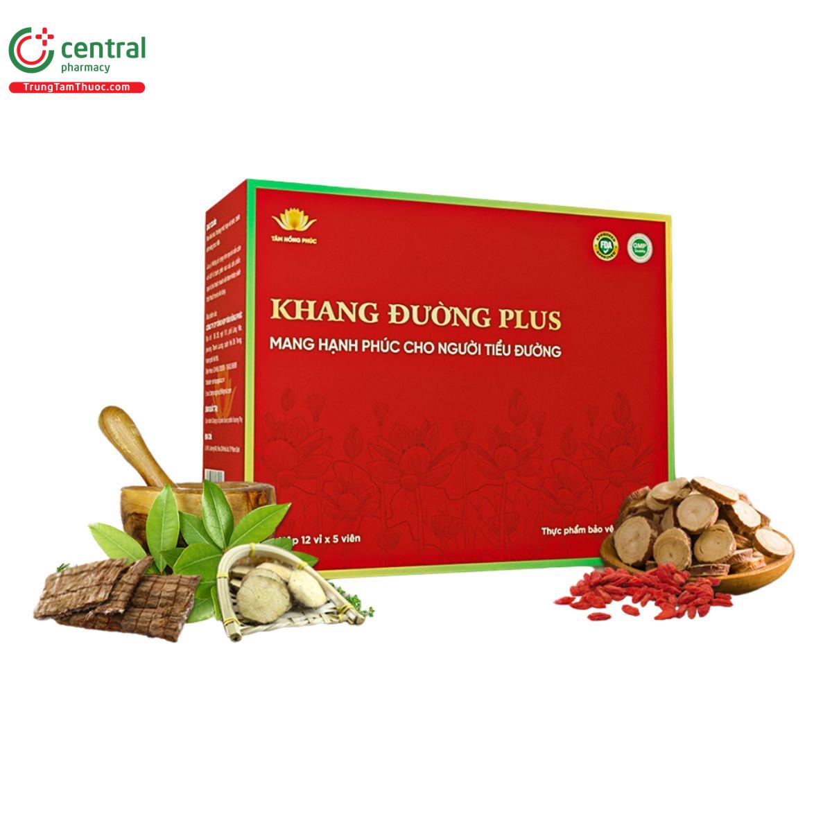 khang duong plus tam hong phuc 2 N5155 khang duong plus tam hong phuc 2 N5155