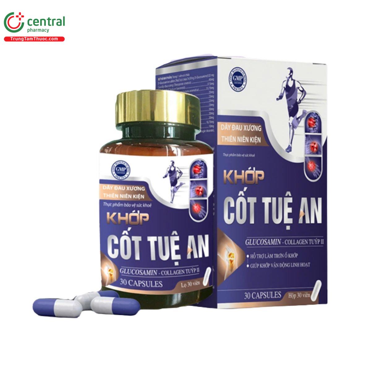 khop cot tue an 1 N5870