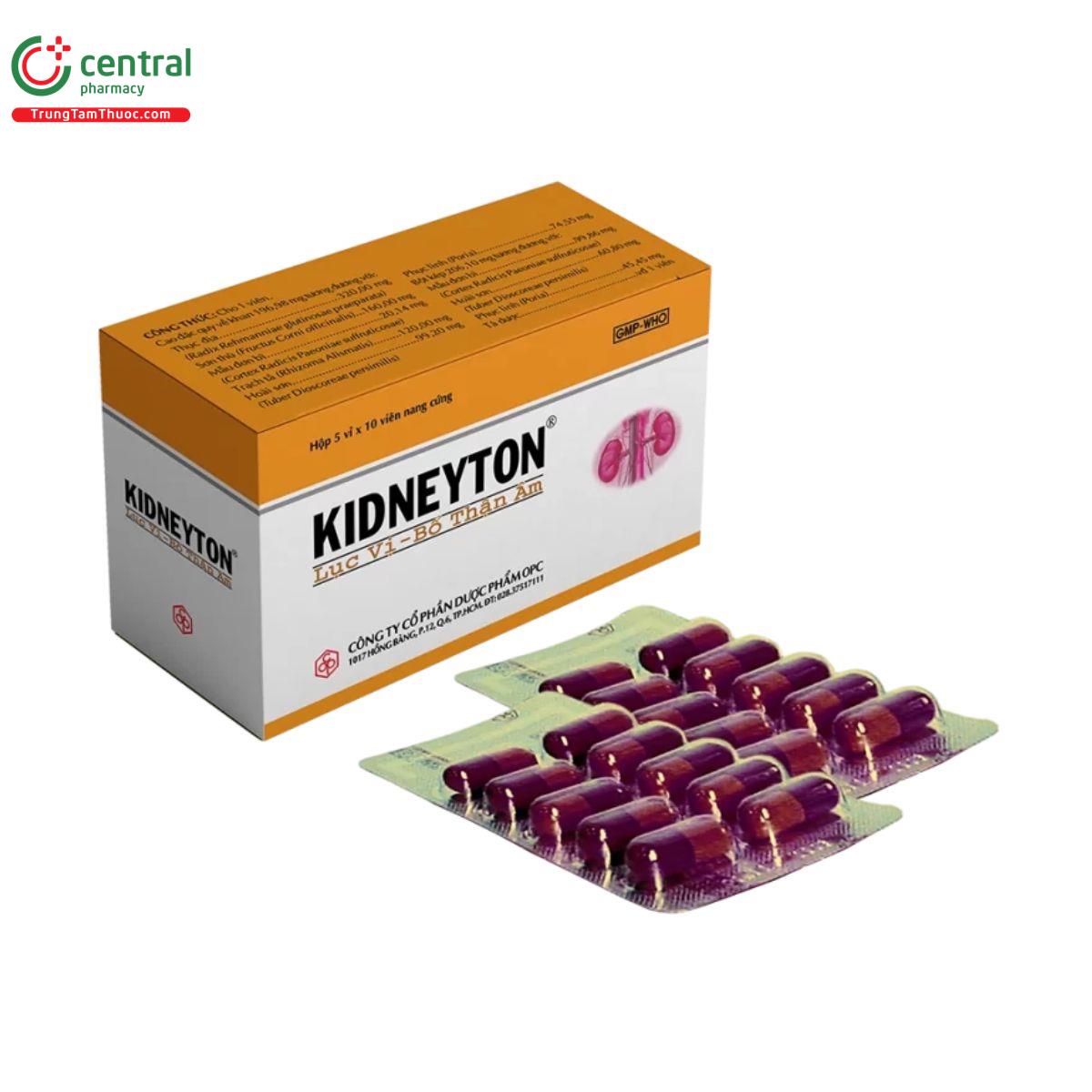 kidneyton 1 E1602 kidneyton 1 E1602