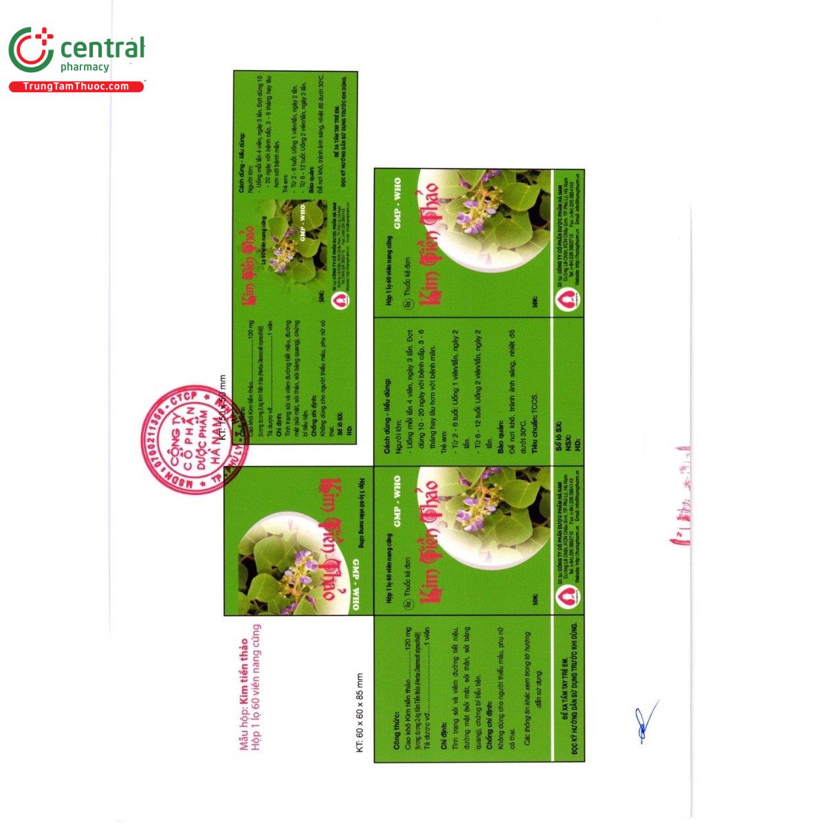 kim tien thao ha nam 4 N5302 kim tien thao ha nam 4 N5302