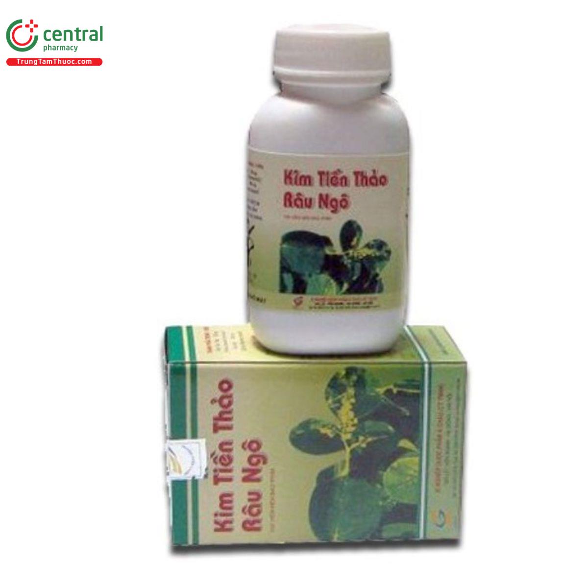 kim tien thao rau ngo A0851 kim tien thao rau ngo A0851