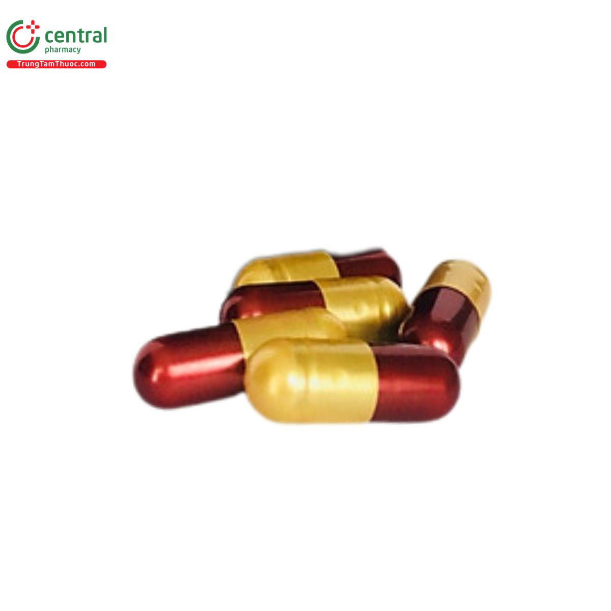 kingmen fast 4 J3264