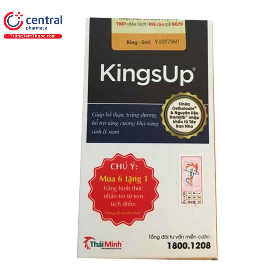 kingsup 6 E1028