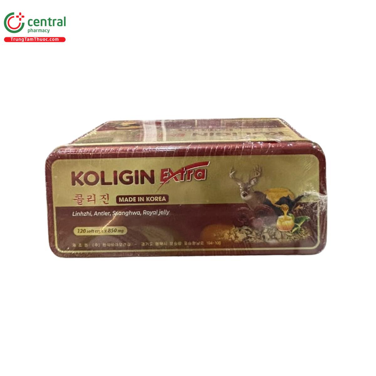 koligin extra 2 B0548 koligin extra 2 B0548