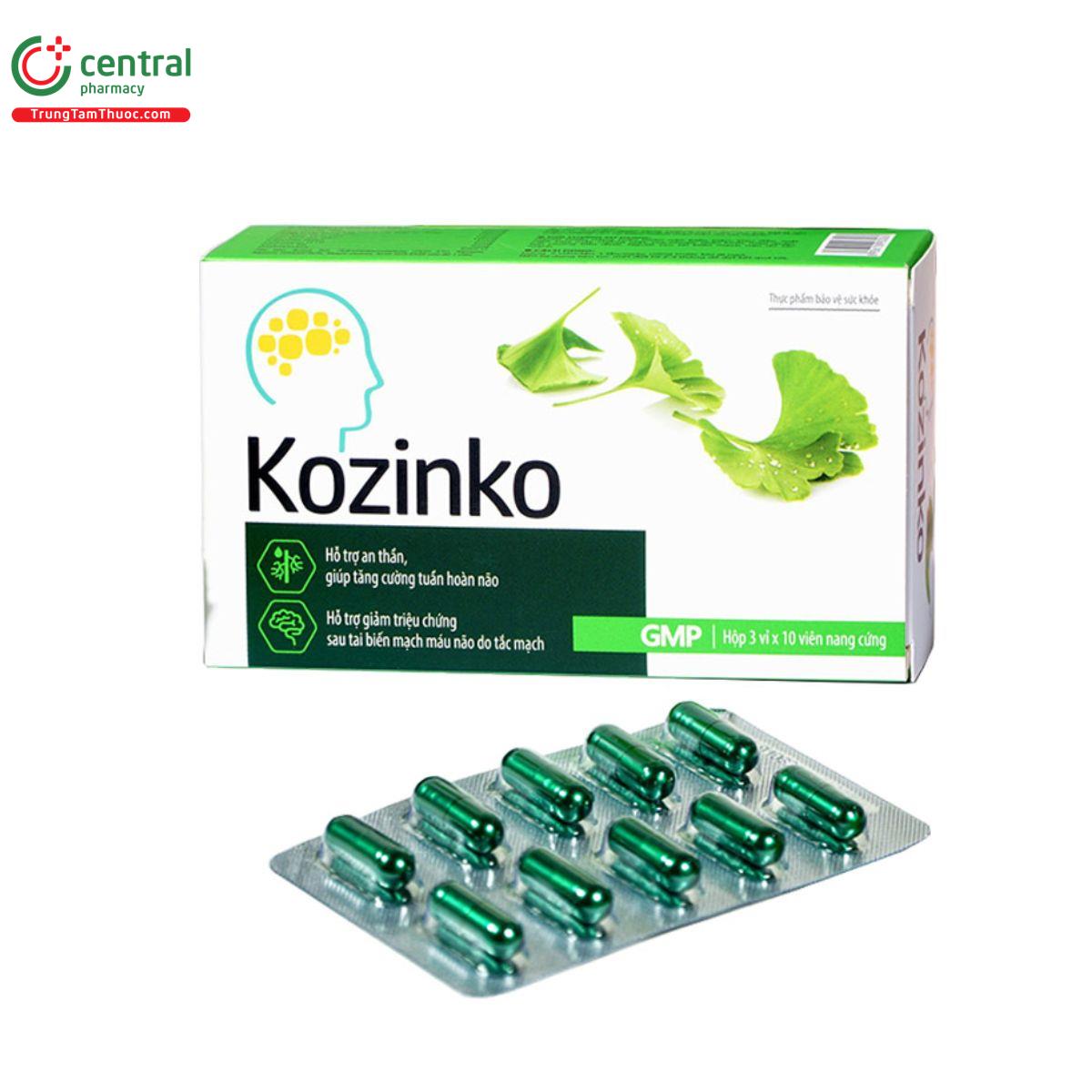 kozinko 2 I3132 kozinko 2 I3132
