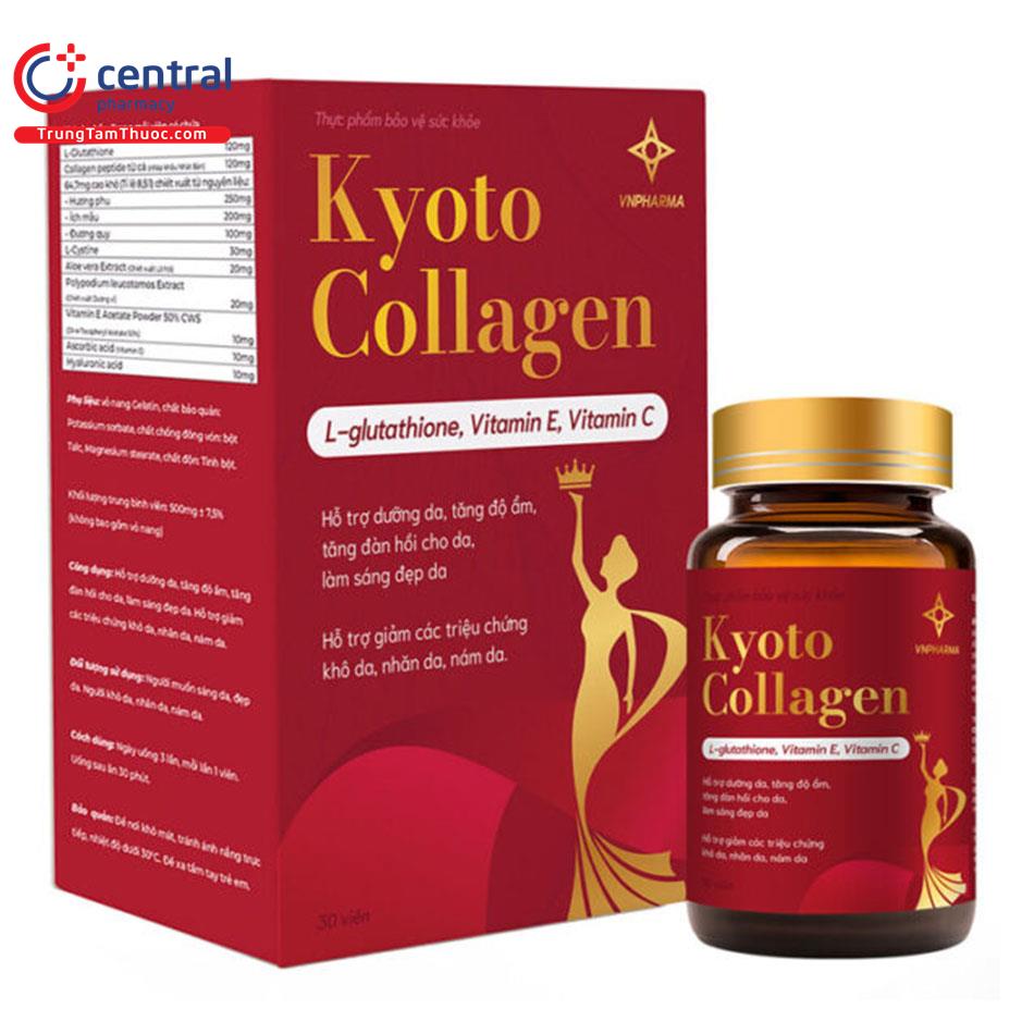 kyoto collagen 2 E1322