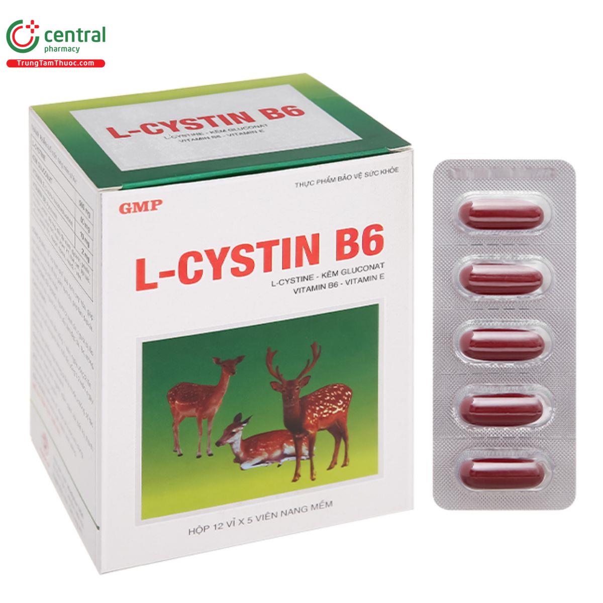 l cystin b6 2 H2160