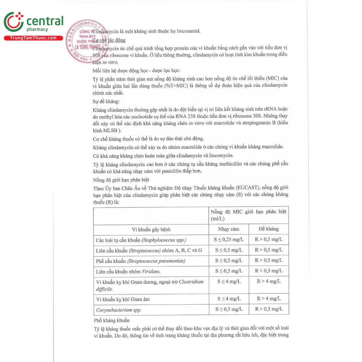 lacinda 300 10 U8475