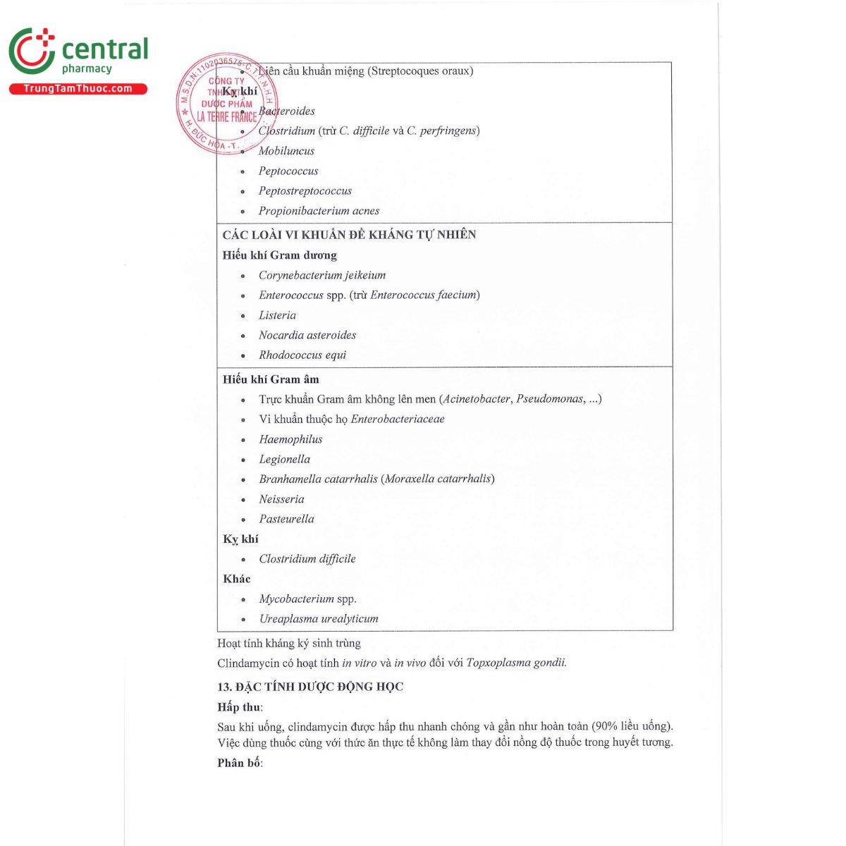 lacinda 300 12 F2287