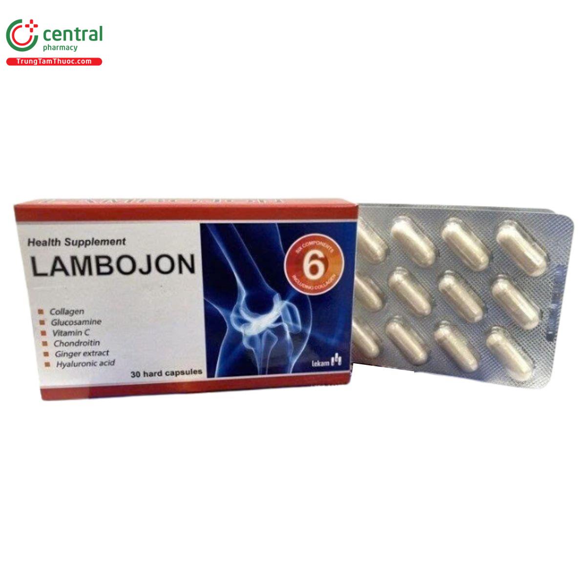 lambojon 3 H3635