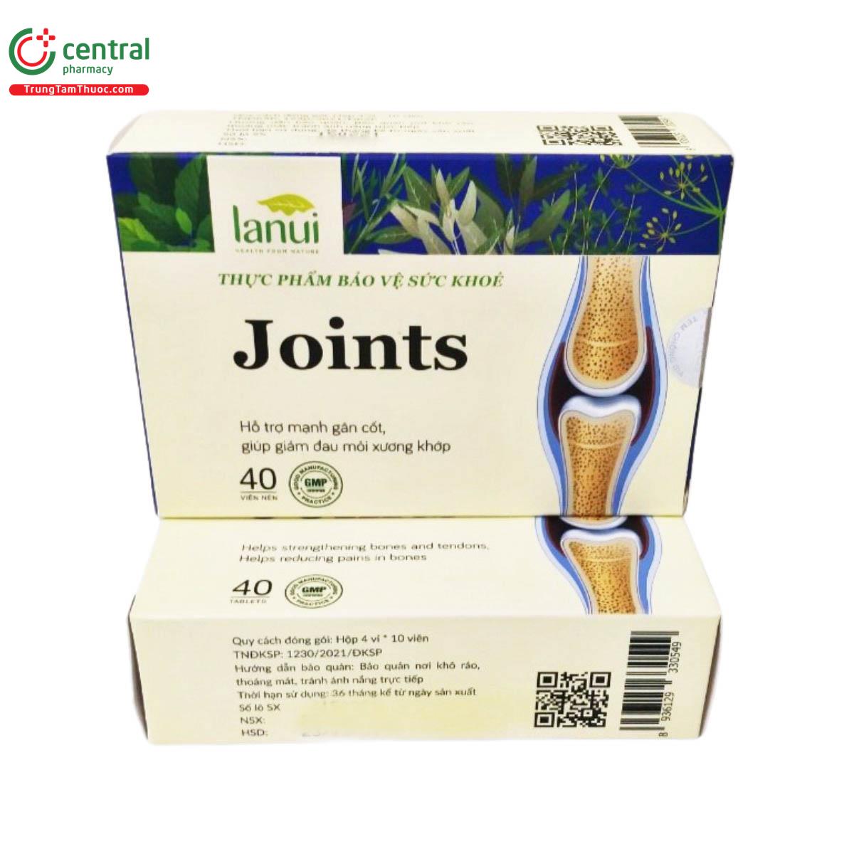 lanui joint 13 L4187