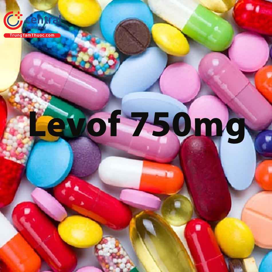 levof750mg T7504