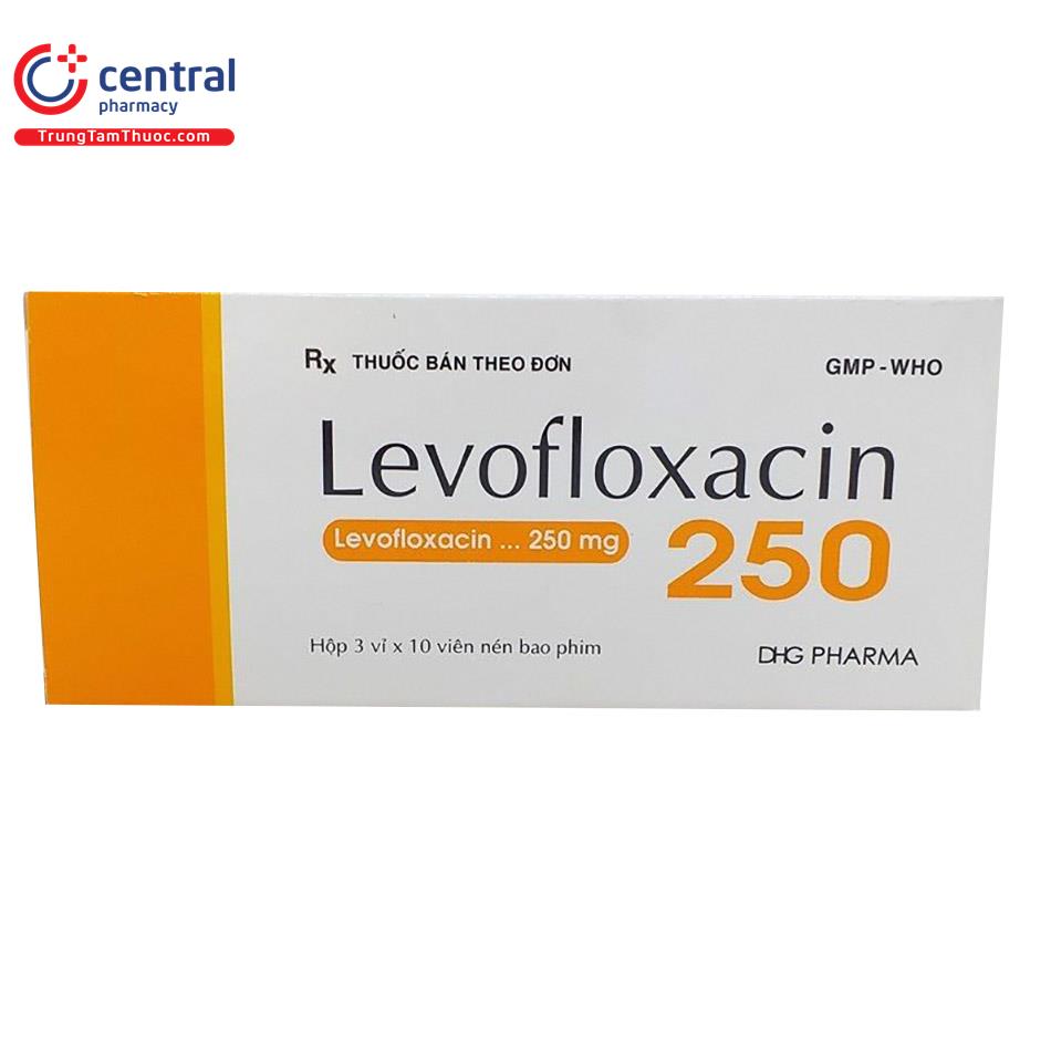 levofloxacin 250 dhg 1 I3005