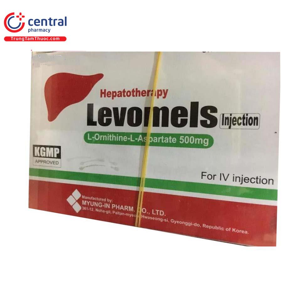 levomels injection 3 M5577