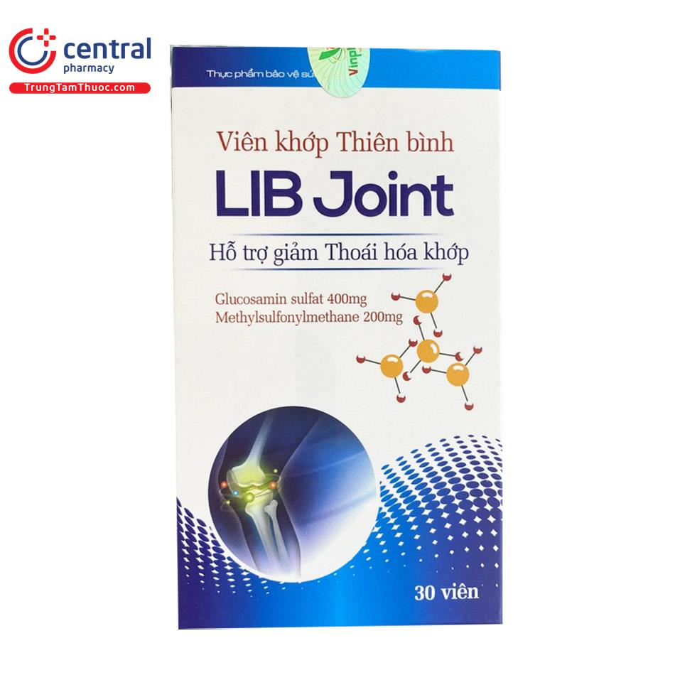 lib joint 2 P6057