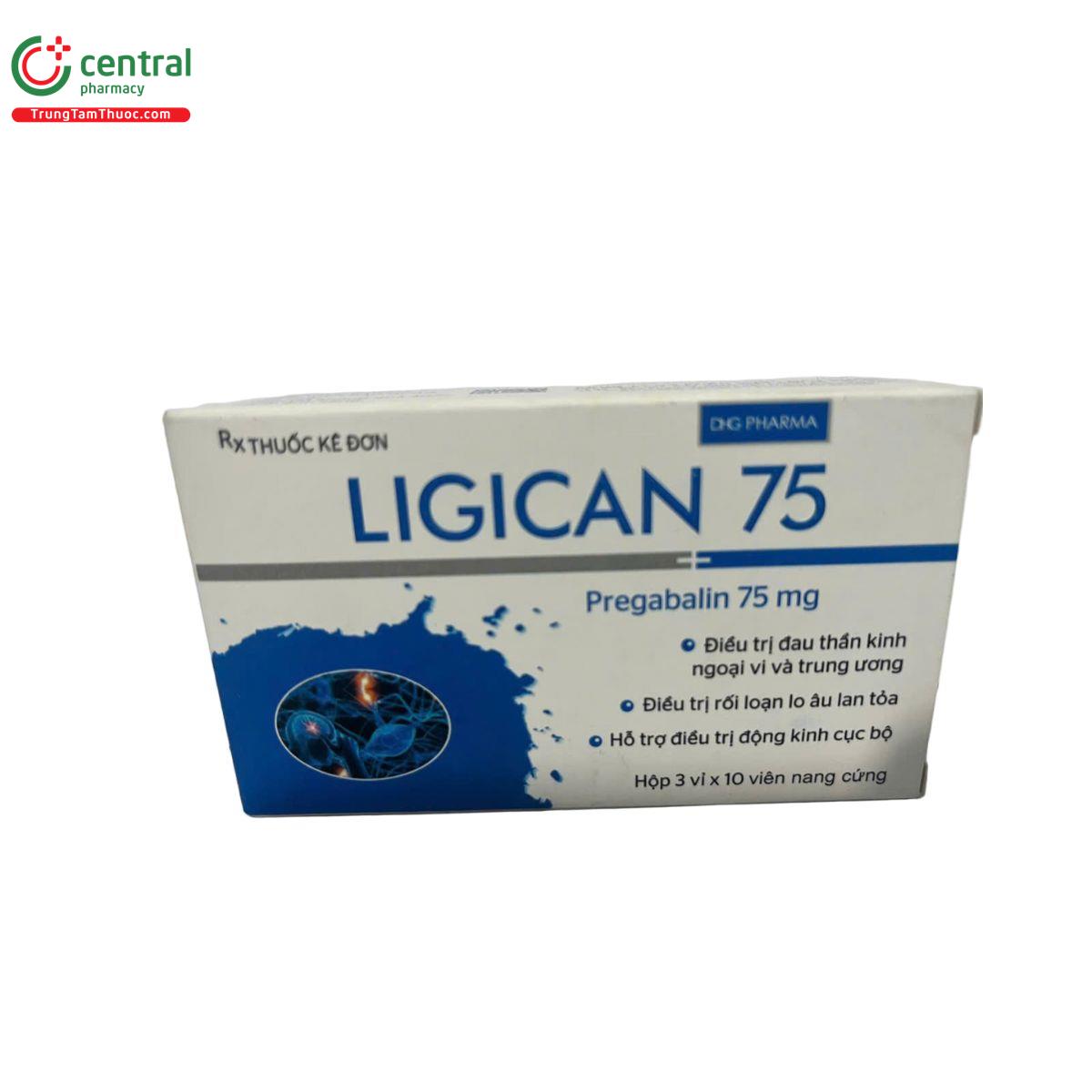 ligican 75 3 G2002 ligican 75 3 G2002