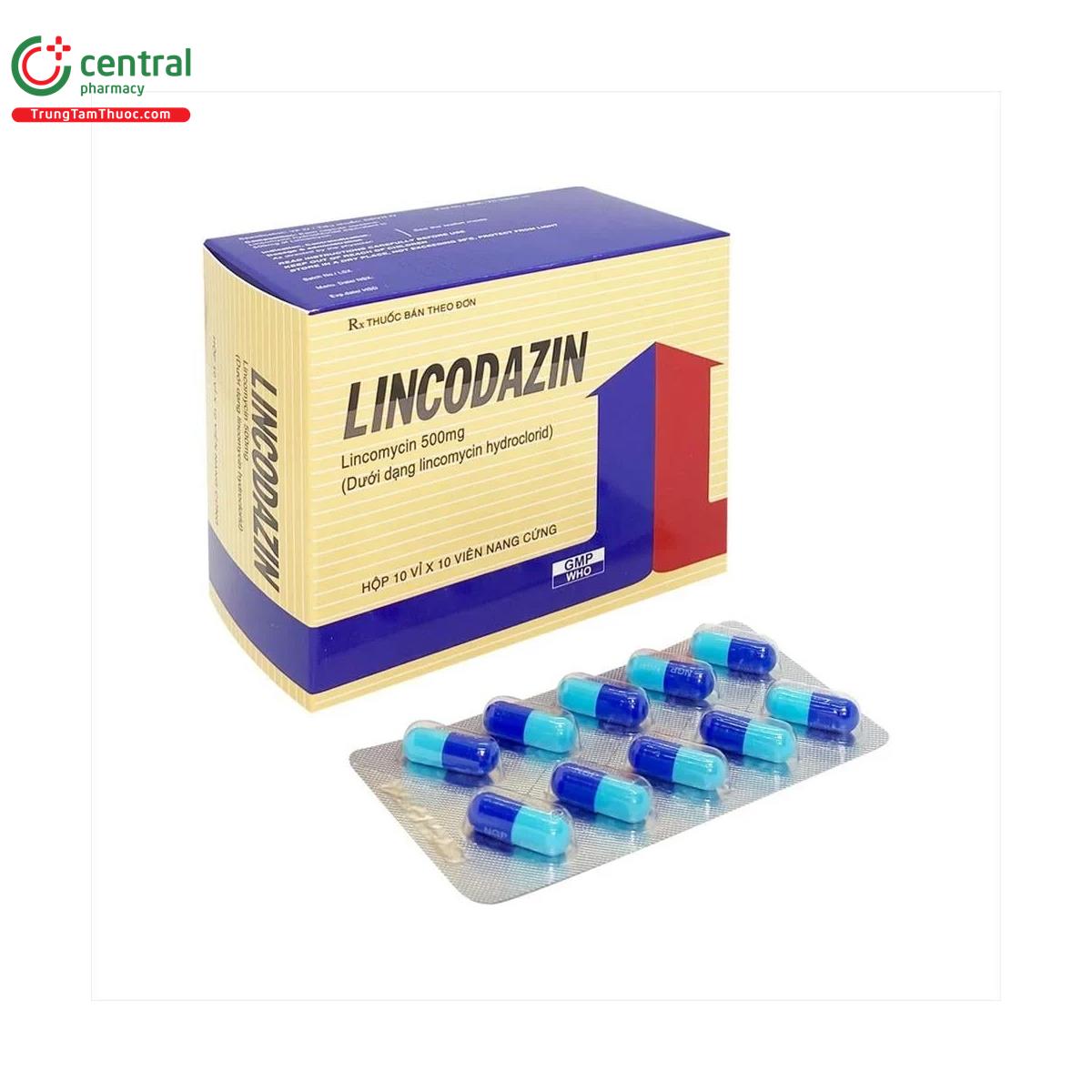 lincodazin 500mg 3 N5221