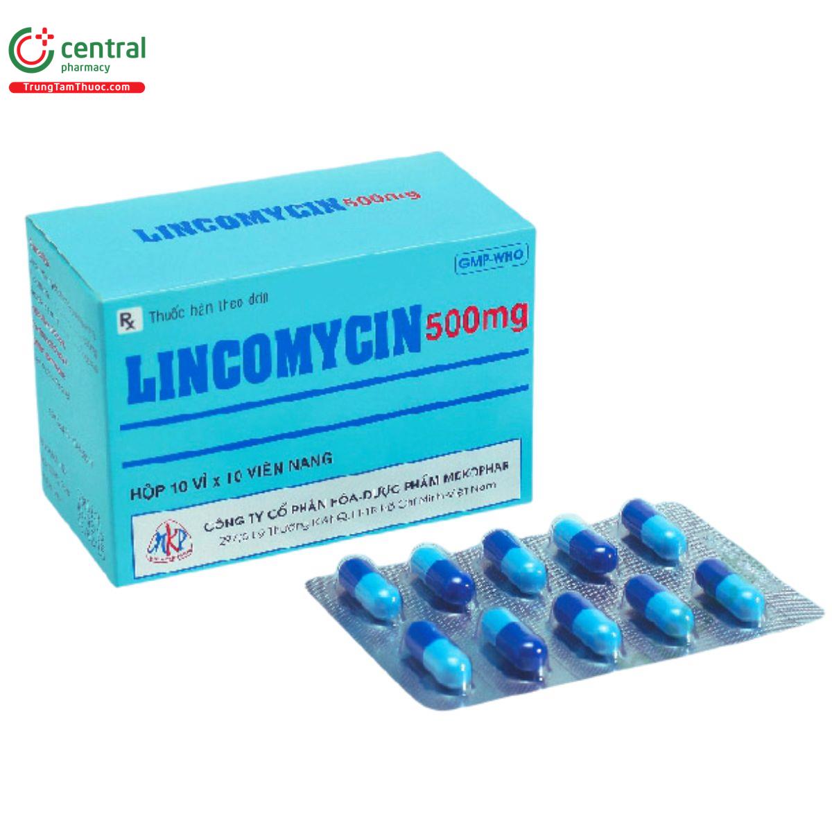 lincomycin 500mg mekophar 1 P6663