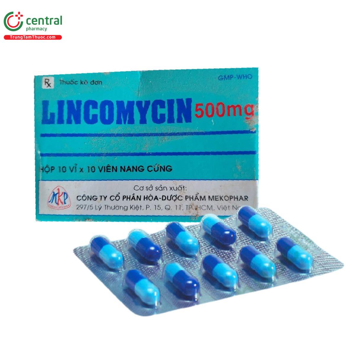 lincomycin 500mg mekophar 2 U8714