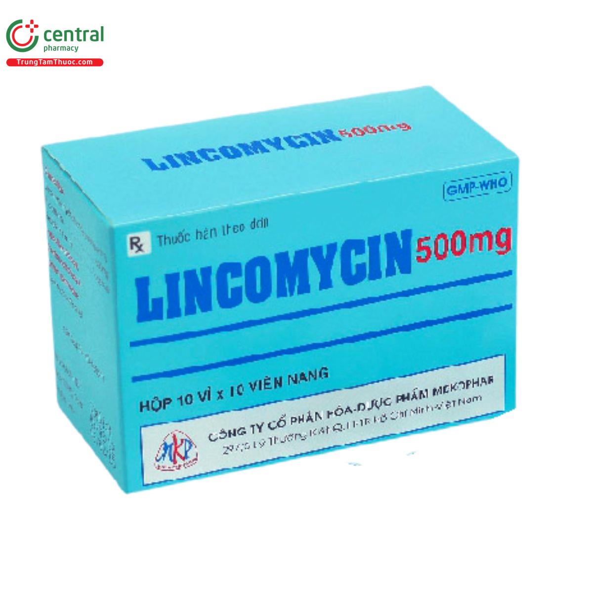 lincomycin 500mg mekophar 3 B0803