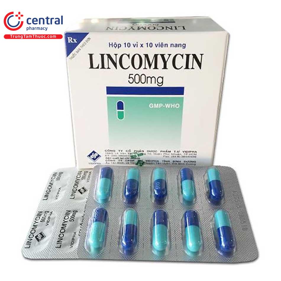 lincomycin 500mg vidipha 1 H2731