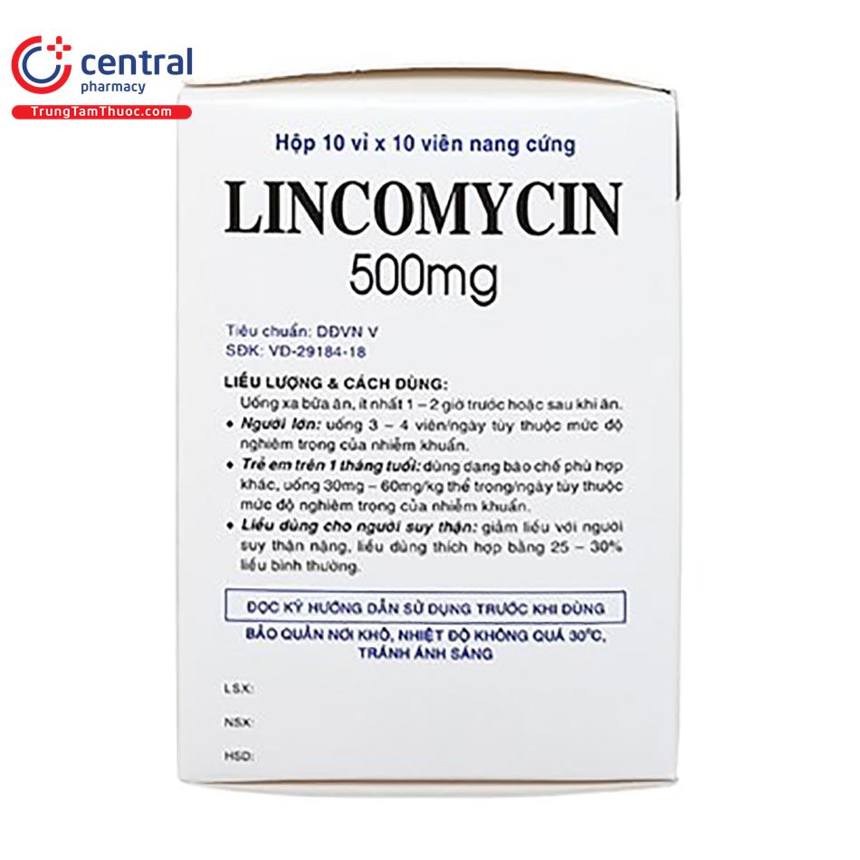 lincomycin 500mg vidipha 13 C1815