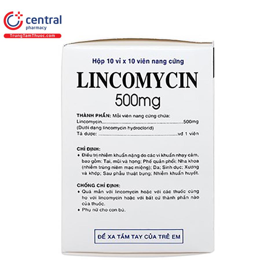 lincomycin 500mg vidipha 25 P6311
