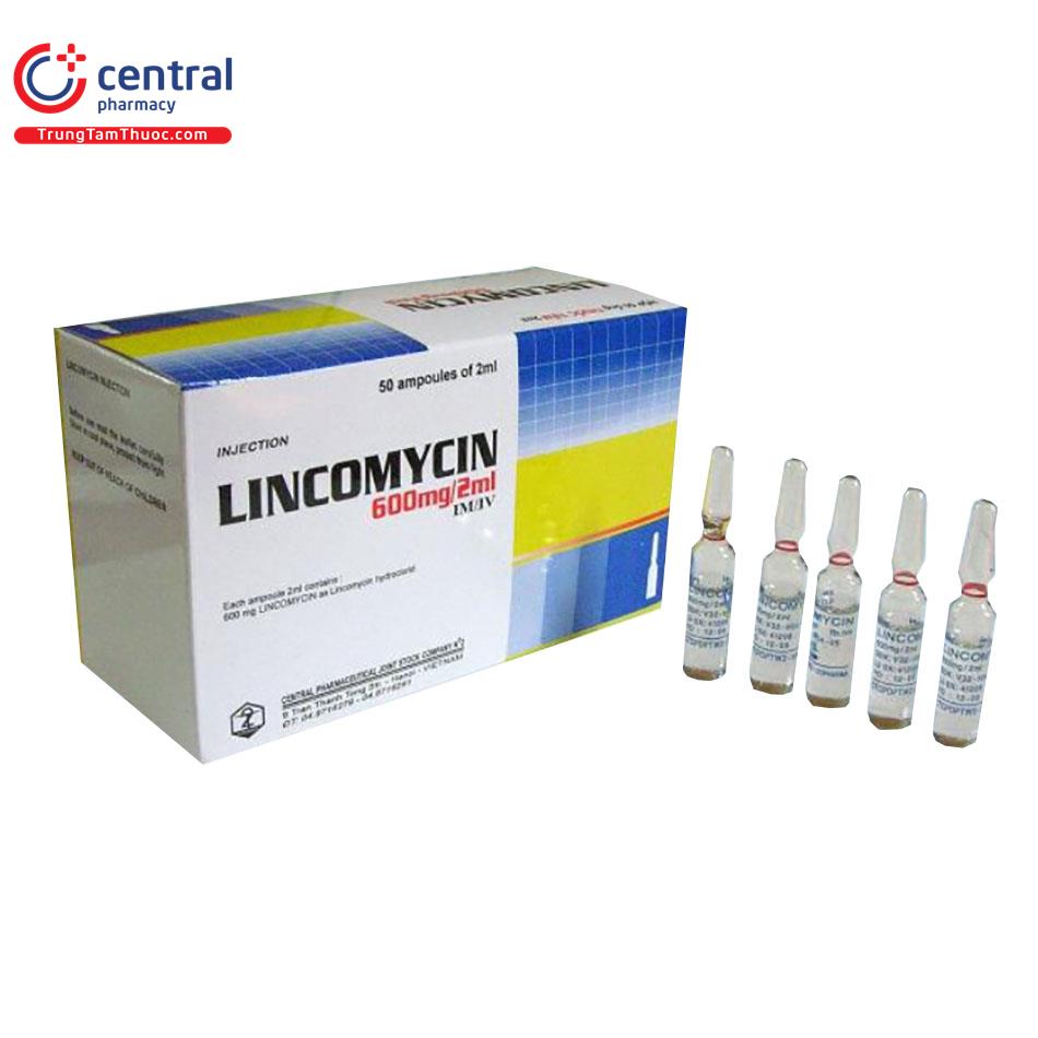 lincomycin 600mg 2ml dopharma 1 K4744